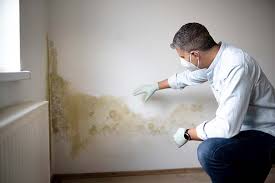 Best Residential Mold Inspection & Testing  in Welcome, NC